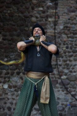 convivium-2012-091